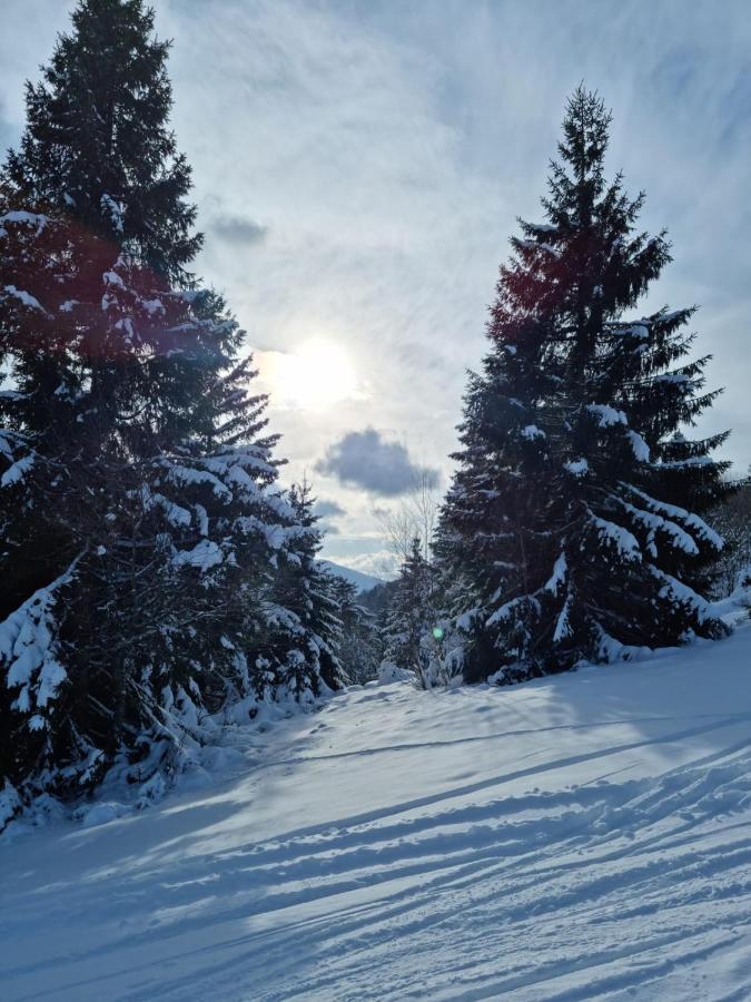 Les Randogodilleurs Avec Jacuzzi A 2Kms Des Pistes Et 350M Du Theatre Du Peuple ! Villa Bussang Kültér fotó