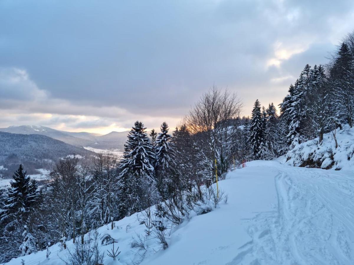Les Randogodilleurs Avec Jacuzzi A 2Kms Des Pistes Et 350M Du Theatre Du Peuple ! Villa Bussang Kültér fotó